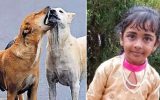പേവിഷബാധയേറ്റ അഞ്ചു വയസുകാരി മരിച്ചു; നോവായി കുഞ്ഞ് സിയ