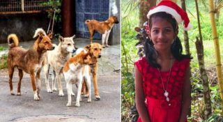 വാക്‌സിന്‍ എടുത്തിട്ടും പേവിഷബാധ; ഒരു മാസത്തിനിടെ മരിച്ചത് മൂന്ന് കുട്ടികള്‍; കേരളത്തിന്റെ നോവായി സിയയും നിയയും ഭാഗ്യയും