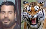 ആനയും കടുവയും എല്ലാം നാട്ടില്‍ തന്നെ; ഒരു ജീവന്‍ കൂടി നഷ്ടമായി; പതിവ് പ്രഖ്യാപനവുമായി വനം വകുപ്പ്