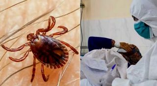 കോംഗോ വൈറസ് ഭീതിയില്‍ ലോകം; പാക്കിസ്ഥാന്‍ മൂന്ന് മരണം; ഇന്ത്യയും ജാഗ്രതയില്‍