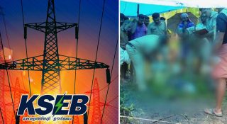 ഇലക്ട്രിക് ലൈൻ പൊട്ടിവീണുള്ള അപകടങ്ങൾ പതിവാകുന്നു; പാലക്കാട് കർഷകന് ദാരുണാന്ത്യം