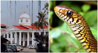 സെക്രട്ടേറിയറ്റിൽ പാമ്പ്; ഫയൽറാക്കുകൾ പാമ്പുകളുടെ താവളം