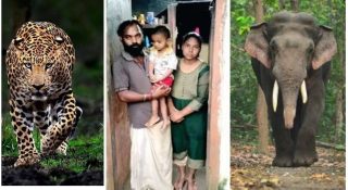 ആനയെ പേടിച്ച് വീട് മാറിയപ്പോൾ തേടിയെത്തിയത് പുലി; പത്തനംതിട്ടയിൽ പുള്ളിപ്പുലി വീട്ടിൽ കടന്നത് നായയെ പിടിക്കാൻ