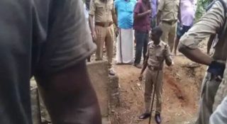 തെങ്ങ് വീണ് തൊഴിലുറപ്പ് തൊഴിലാളികള്‍ക്ക് ദാരുണാന്ത്യം; രണ്ടുപേരും സ്ത്രീകള്‍