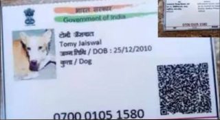 നായയുടെ പേരിൽ ആധാർ കാർഡ് പുറത്തിറങ്ങി; അച്ഛന്റെ പേരും വിലാസവുമുൾപ്പടെ എല്ലാ വിവരങ്ങളും