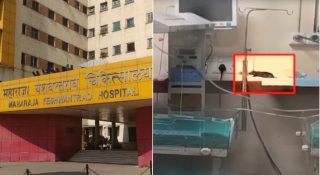 നവജാത ശിശുക്കളെ കൊലക്ക് കൊടുത്ത അനാസ്ഥ; ആശുപത്രിയിൽ വച്ച് കുട്ടികൾ മരിച്ചത് എലിയുടെ കടിയേറ്റ്