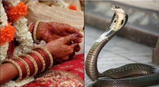 സ്ത്രീധനത്തിന്റെ പേരിൽ യുവതിയെ പാമ്പിനെ കൊണ്ട് കടിപ്പിച്ചു; ആക്രമണം മുറിയിൽ പൂട്ടിയിട്ട ശേഷം