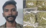 സൈനികന്റെ വീട്ടിൽ കഞ്ചാവ് വിൽപ്പന; കൊണ്ട് വരുന്നത് അവധിക്ക് വരുമ്പോൾ; കൂട്ടത്തോടെ പിടികൂടി പൊലീസ്