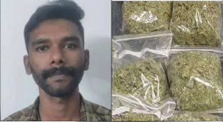 സൈനികന്റെ വീട്ടിൽ കഞ്ചാവ് വിൽപ്പന; കൊണ്ട് വരുന്നത് അവധിക്ക് വരുമ്പോൾ; കൂട്ടത്തോടെ പിടികൂടി പൊലീസ്