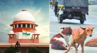 തെരുവുനായ പ്രശ്നം ഇന്ത്യക്ക് അപമാനം; സംസ്ഥാന സർക്കാറുകളെ വിമർശിച്ച് സുപ്രീം കോടതി