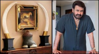 മോഹന്‍ലാല്‍ ആനക്കൊമ്പ് കൈയ്യില്‍വയ്‌ക്കേണ്ട; ലൈസന്‍സ് റദ്ദാക്കാന്‍ സര്‍ക്കാരിന് നിര്‍ദേശം നല്‍കി ഹൈക്കോടതി