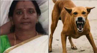 പേവിഷബാധയേറ്റ് വീട്ടമ്മ മരിച്ചു; പ്രതിരോധ വാക്സിൻ എടുത്തിട്ടും ഫലമുണ്ടായില്ല