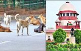 പൊതുസ്ഥലങ്ങളിൽ ഇനി തെരുവുനായ്ക്കളെ കാണരുത്! തടയുന്നവർക്കെതിരെ കർശന നടപടി; സുപ്രീം കോടതി