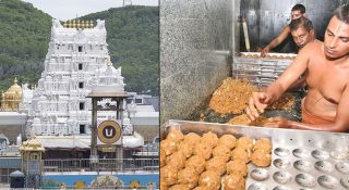 20 കോടി തിരുപ്പതി ലഡ്ഡുവിൽ വ്യാജ നെയ്യ്! ഭക്തരെ കബളിപ്പിച്ചത് 5 വർഷം; പ്രസാദത്തിൽ പോലും മായം ചേർത്ത് വിശ്വാസ വഞ്ചന!