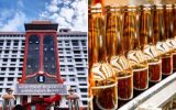 സർക്കാരിന് തിരിച്ചടി; എലപ്പുള്ളി ബ്രൂവറി അനുമതി റദ്ദാക്കി ഹൈക്കോടതി