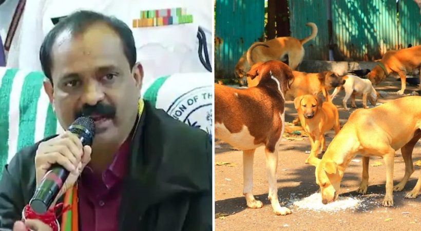 വാഗ്ദാനമല്ല, പ്രവൃത്തി! തെരുവുനായ ശല്യത്തിനെതിരെ പടയൊരുക്കി കോർപറേഷൻ; 50 നായ്ക്കളെ വന്ധ്യംകരിച്ചതായി മേയർ