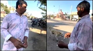 500-ഓളം തെരുവുനായ്ക്കളെ കൊന്നൊടുക്കിയത് തിരഞ്ഞെടുപ്പ് വാഗ്ദാനം പാലിക്കാൻ; ക്രൂരതയുടെ ഞെട്ടിക്കുന്ന ദൃശ്യങ്ങൾ പുറത്ത്