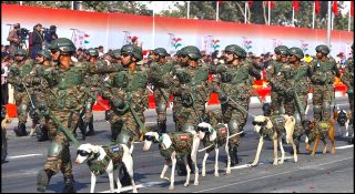 കൂളിംഗ് ഗ്ലാസ് വെച്ച് സ്റ്റൈലായി നായപ്പട; കരസേനാ ദിന പരേഡിൽ കൈയടി നേടി കെ9 യൂണിറ്റ്