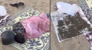 കഞ്ചാവ് ഉണക്കാനിട്ട് അടുത്തുതന്നെ സുഖനിദ്ര; കോഴിക്കോട് ബീച്ചിൽ യുവാവ് പിടിയിൽ