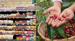 ട്രംപിന്റെ താരീഫിന് ഇന്ത്യയുടെ കടുംവെട്ട്; റഷ്യൻ മണ്ണിൽ വയനാടൻ കാപ്പിയുടെ ഗന്ധം