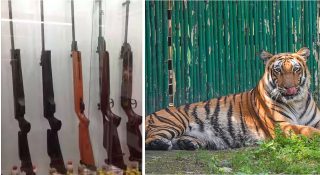 തോക്കുകൾ തിരികെ വേണം; വന്യജീവി ശല്യം രൂക്ഷമായതോടെ ആവശ്യവുമായി കർഷകർ