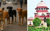 തെരുവുനായ കടിച്ചാൽ സർക്കാർ നഷ്ടപരിഹാരം നൽകണം; സുപ്രീം കോടതി