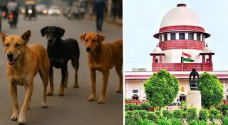 തെരുവുനായ കടിച്ചാൽ സർക്കാർ നഷ്ടപരിഹാരം നൽകണം; സുപ്രീം കോടതി