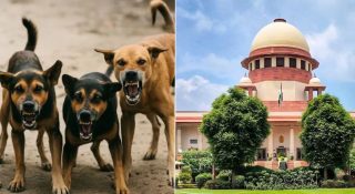 ‘നായകൾക്ക് കൗൺസിലിംഗ് നൽകുകയേ വഴിയുള്ളൂ’; തെരുവുനായ കേസിൽ മൃഗസ്നേഹികളെ പരിഹസിച്ച് സുപ്രീം കോടതി